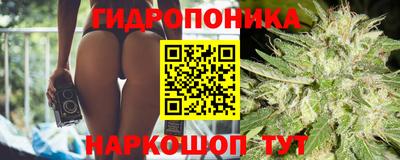 молекула духа Назарово